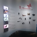 모래섬민박 이미지