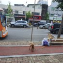 극동주유소 이미지