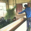 햇사레목장 이미지