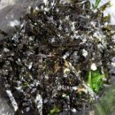 남일농장 이미지