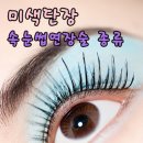 미색단장