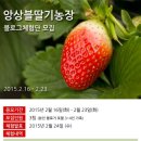 [공지]앙상블딸기농장 블로그체험단을 모집합니다. (~2.23)