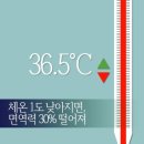 이지점핑체온다이어트