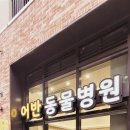 창원동물병원 이미지