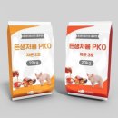 코리아양돈 이미지