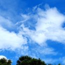 장오토클럽 이미지