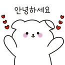 셀렌헤어 이미지