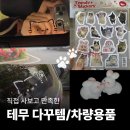 제일문구복사코팅 | 테무에서 직접 사본 추천템 후기 문구덕후와 고양이덕후의 쇼핑기록