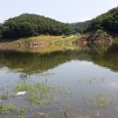 청기와낚시점