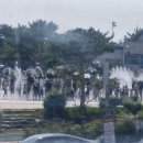 다대포원조해물칼국수 이미지