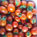 정아농장 이미지