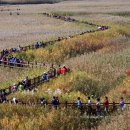 낙안민속자연휴양림 이미지