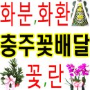 팀스건축사사무소 | ◈충주화원 아울렛!◈충주시꽃집꽃가게'개업화분 화환 꽃다발'충주꽃배달서비스