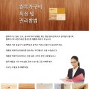 고양시립신원어린이집 이미지