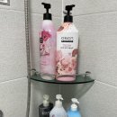 한동스테이 | 제주동쪽여행 성산 애견동반 가족여행 숙소추천 바다보이는독체펜션 에어비엔비 후기