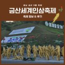 금산국제인삼시장(금산인삼국제시장) | 충남 금산 9월 축제 2025 금산세계인삼축제 정보 및 방문 후기