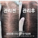 플러피비 네이버블로그