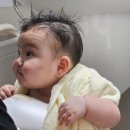 메이드호텔 | 아기수건 추천 | 어스메이드 호텔수건 후기, 흡수력·두께·세탁관리 다 잡았다!