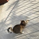 욱샘작업실