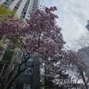 분당 중앙공원 피크닉 포트락 봄나들이 후기
