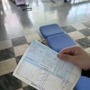 외도보타니아 | [경남 거제] 해금강 외도 보타니아 유람선 후기ㅣ예약ㅣ꿀팁 총 정리ㅣ거제 가볼만한 곳