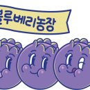 홍가농장 이미지