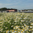 금현농장 이미지