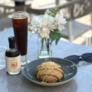 마리나비치 | 두바이 마리나 카페 | 파파로티, 마리나 비치 JBR 해변 디저트 카페 모카번 쿠나파번
