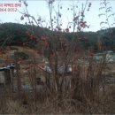 함안면사무소 이미지