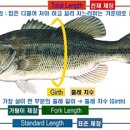 런커피싱