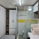 스테이유 이미지