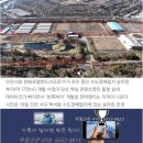 인천 승마장 이미지