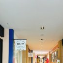 엘리시아 샵