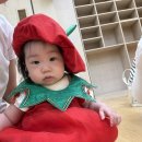 은비어린이집 | 일기 ㅣ 만 10개월 아기ㅣ 아기랑 이사, 잡고 걷기, 커먼멘션, 무이한복 아기 돌 한복, 울쎄라 300샷 후기