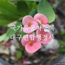 오른손 행정사사무소 이미지