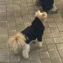 금비 | [성동/송정] 권은비 카페 금은방 방문 후기 + 권은비, 금비 만난 후기