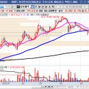 서울의약 주식회사 이미지