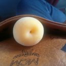 살구꽃핀마을은 이미지