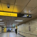 수정-73 | 💕뽀글이가 된 나 - 굵은 히피펌 전문 [도심합정] 수정 디자이너님 후기🩵