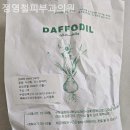 정영철피부과의원 네이버블로그