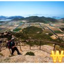 only you민박 이미지