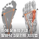 원신흥동 행정복지센터 2층 | 모든 운동의 시작은 발바닥입니다 : 3포인트 지지 | 봉명동PT 봉명동헬스장 피트니센스PT
