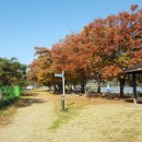 중원문화길 2구간 이미지