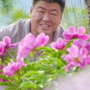 절골식당 이미지