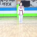 위너태권스쿨 이미지