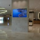 제주 부영리조트 이미지