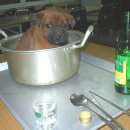 한잔술에 이미지