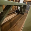 시골야식 | 밀양 삼랑진 시골 감성 숙소 스텔라엘가든 1박 2일 후기