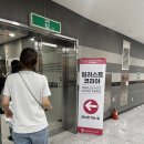 아지랭이 | 2025 서울 일러스트코리아 in aT 방문 후기(케키바이고미)