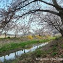 순성농협 하나로마트 이미지